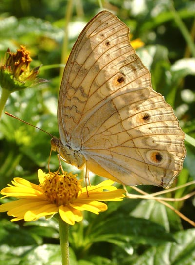 Chen Dacheng’s Photography