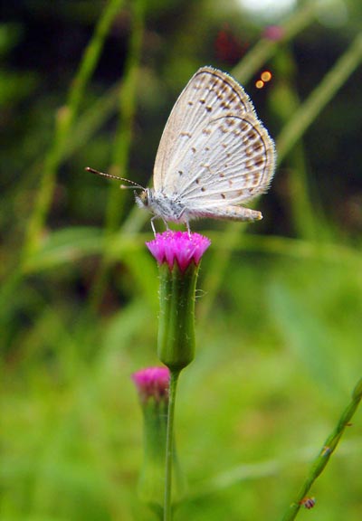 Chen Dacheng’s Photography